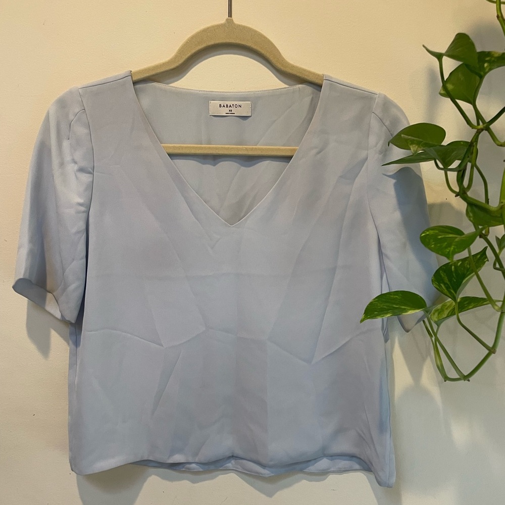 Aritzia Babaton Short Sleeve V Neck Blouse
